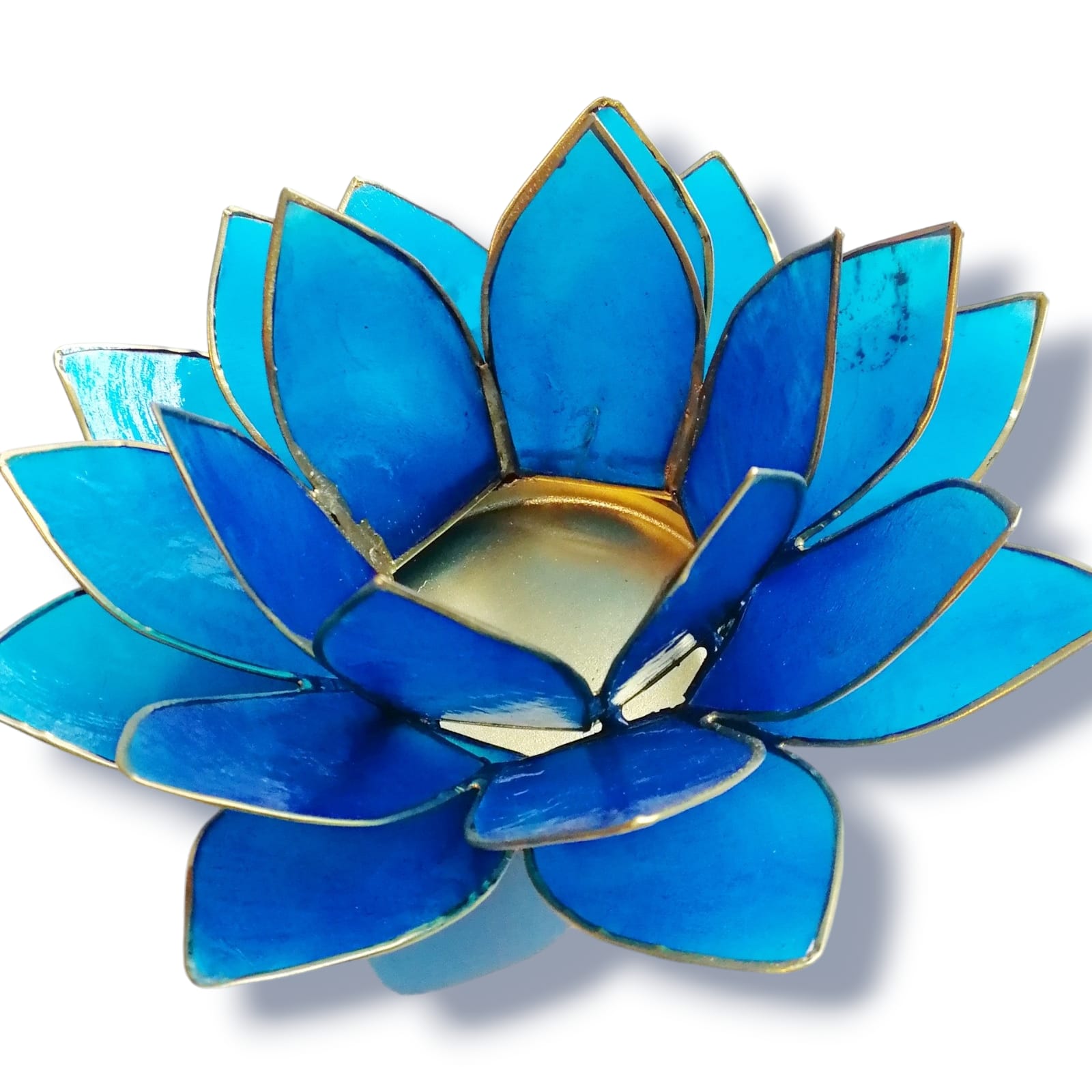 Lotuslykta Mörkblå