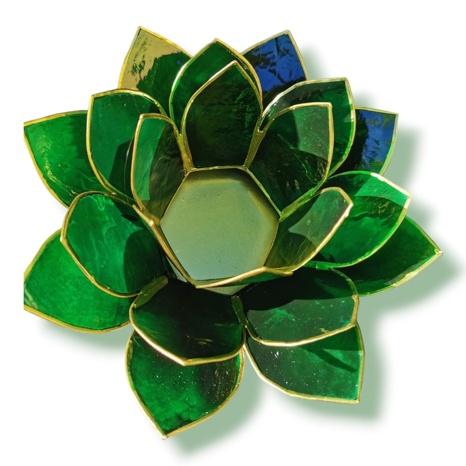 Lotuslykta Mörkgrön