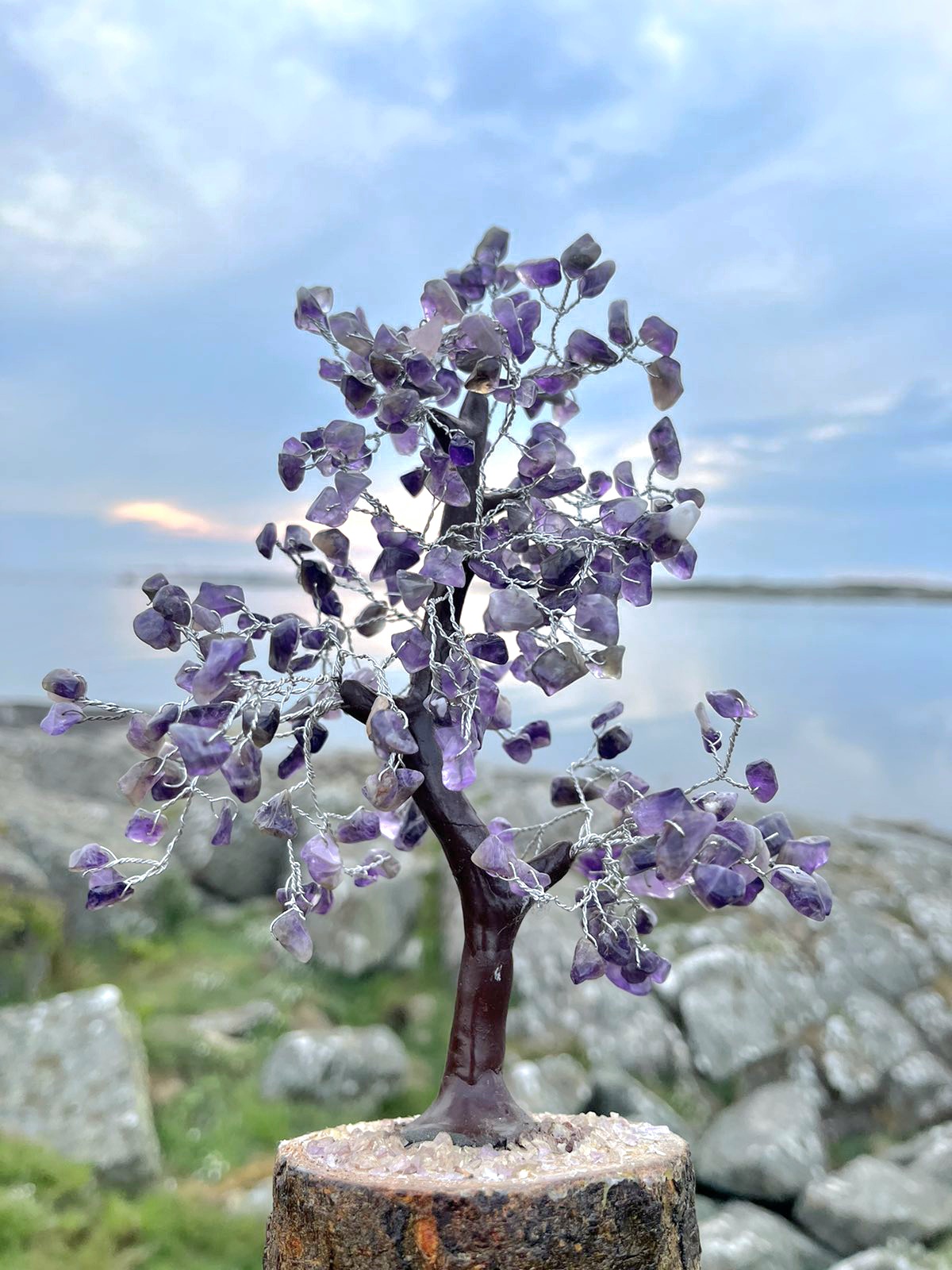 Kristallträd AMetist