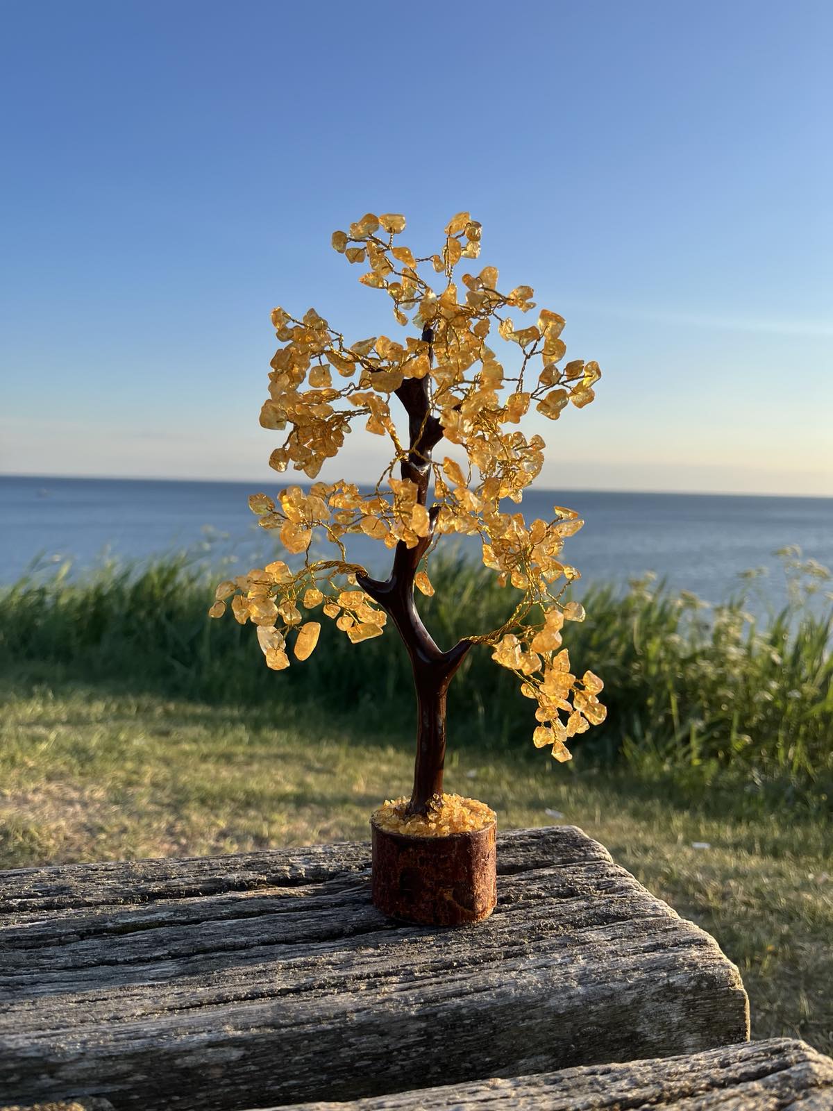 Kristallträd Citrin