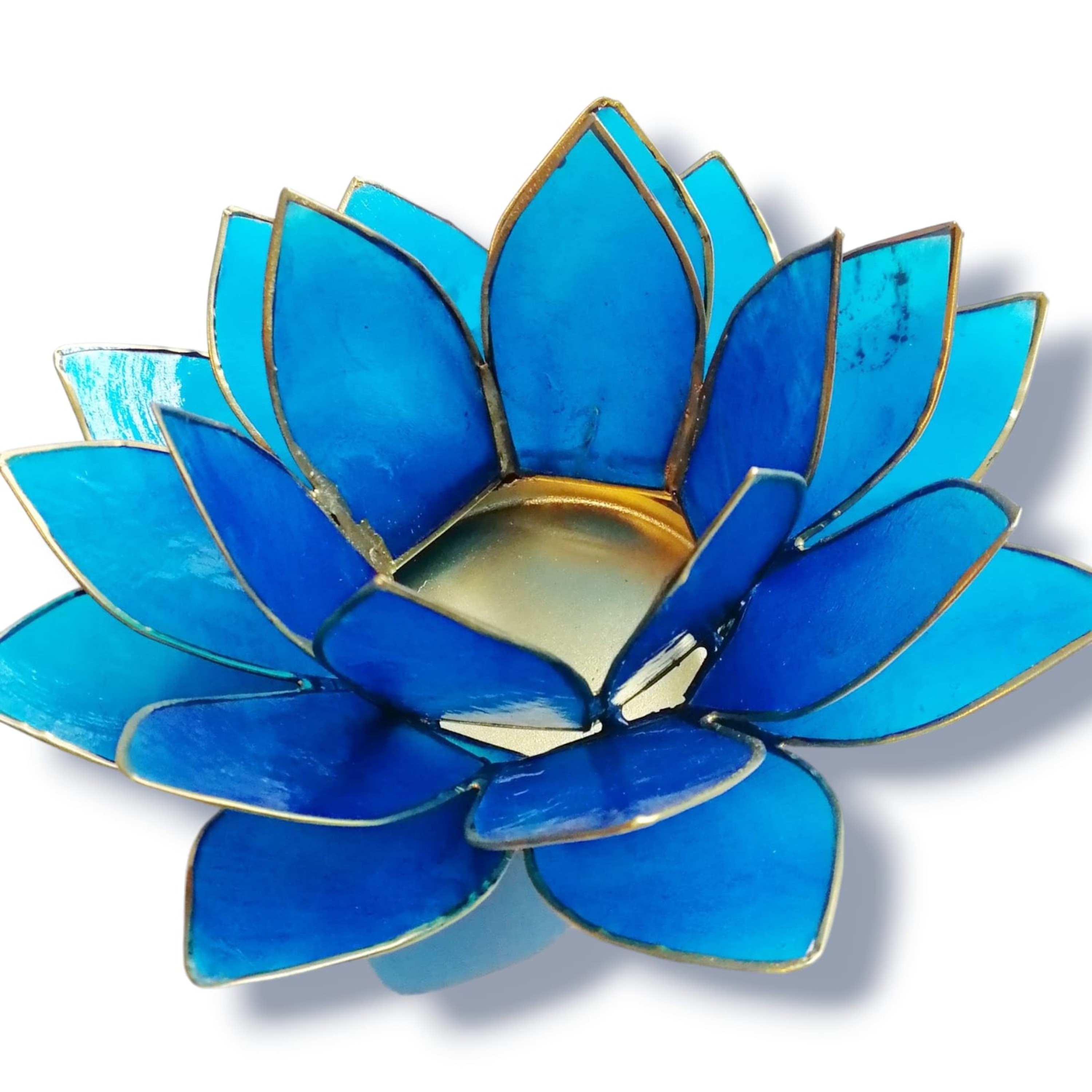 Lotuslykta Mörkblå