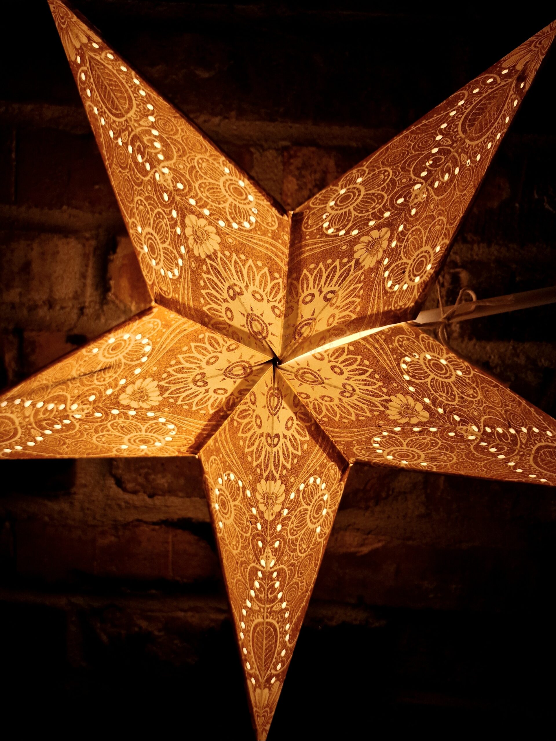 1. Guldglittrig Julstjärna Vit framinfrån