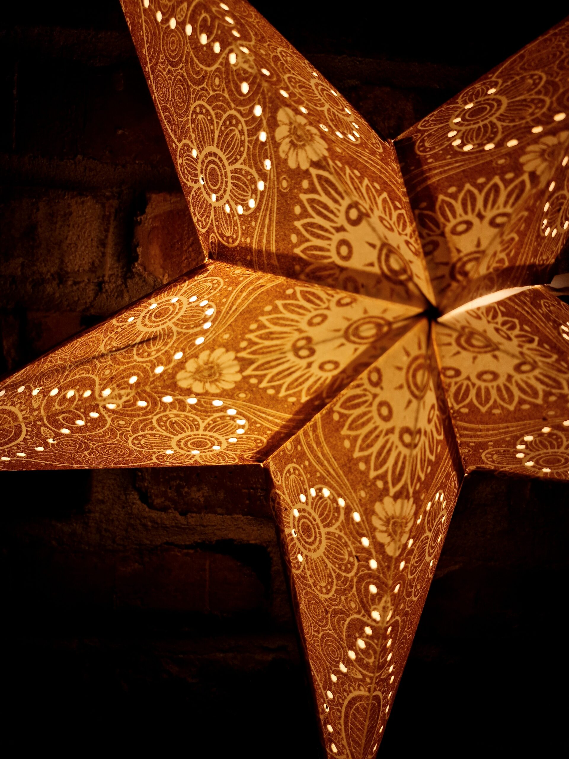 1. Guldglittrig Julstjärna Vit sida