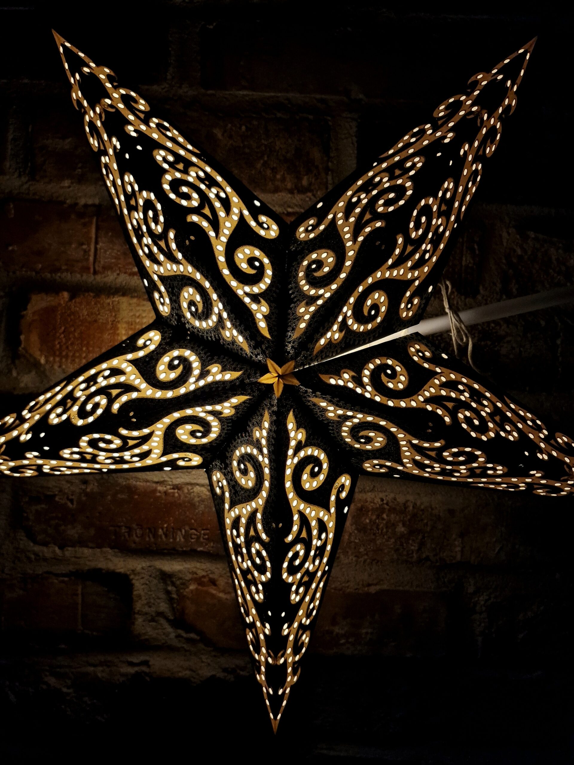 14. Svart Julstjärna med silverglitter framinfrån