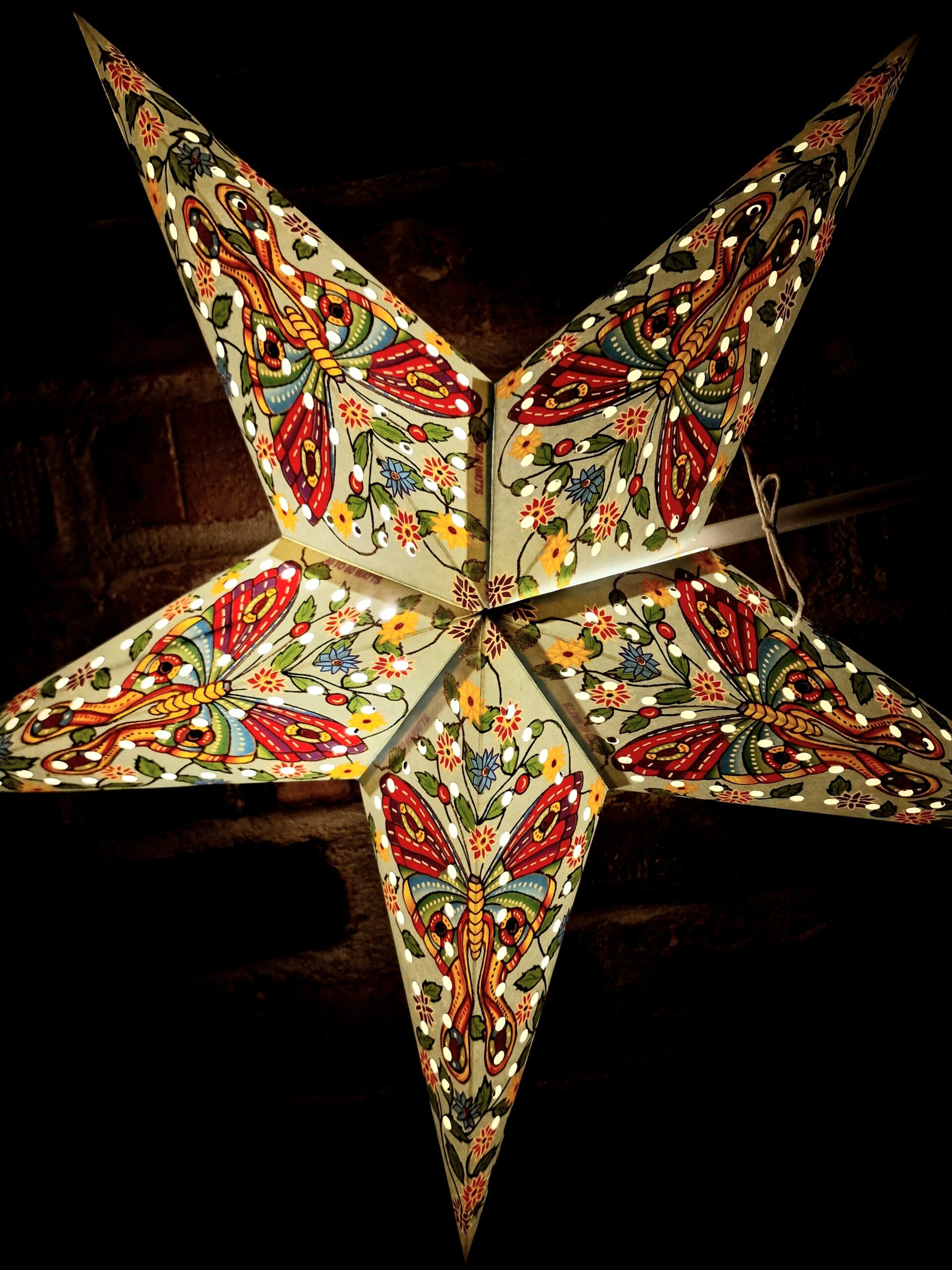 15. Julstjärna Blå Fjärilar framifrån