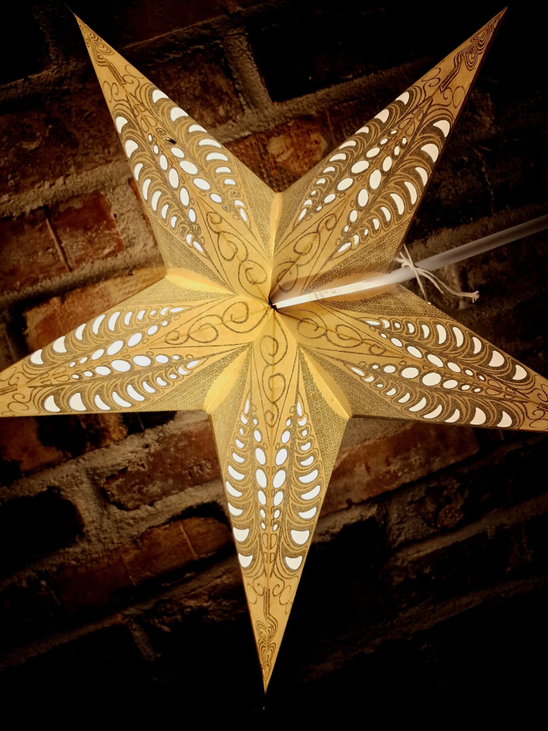 19. Vit vintrig Julstjärna framifrån