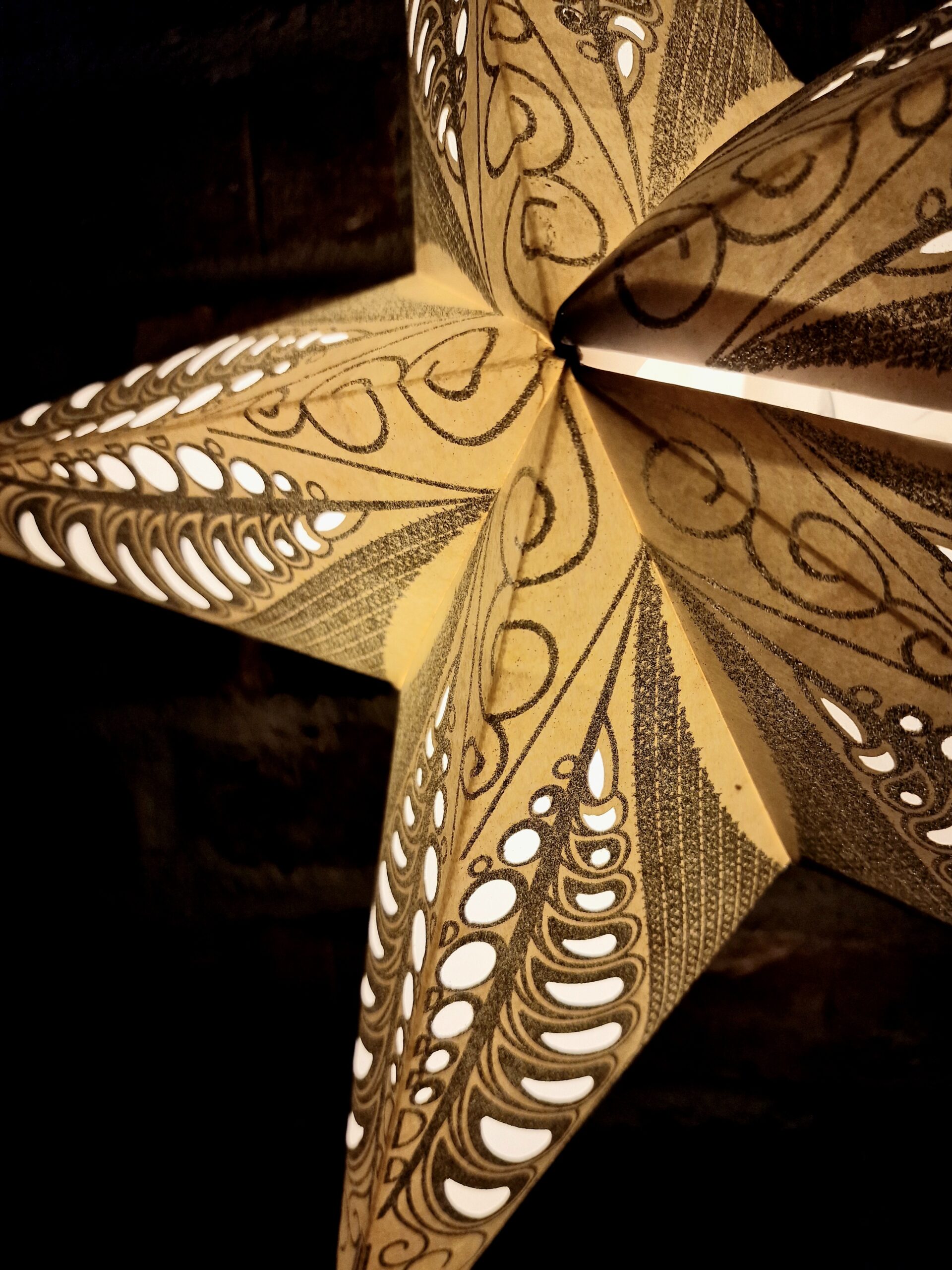 19. Vit vintrig Julstjärna sida