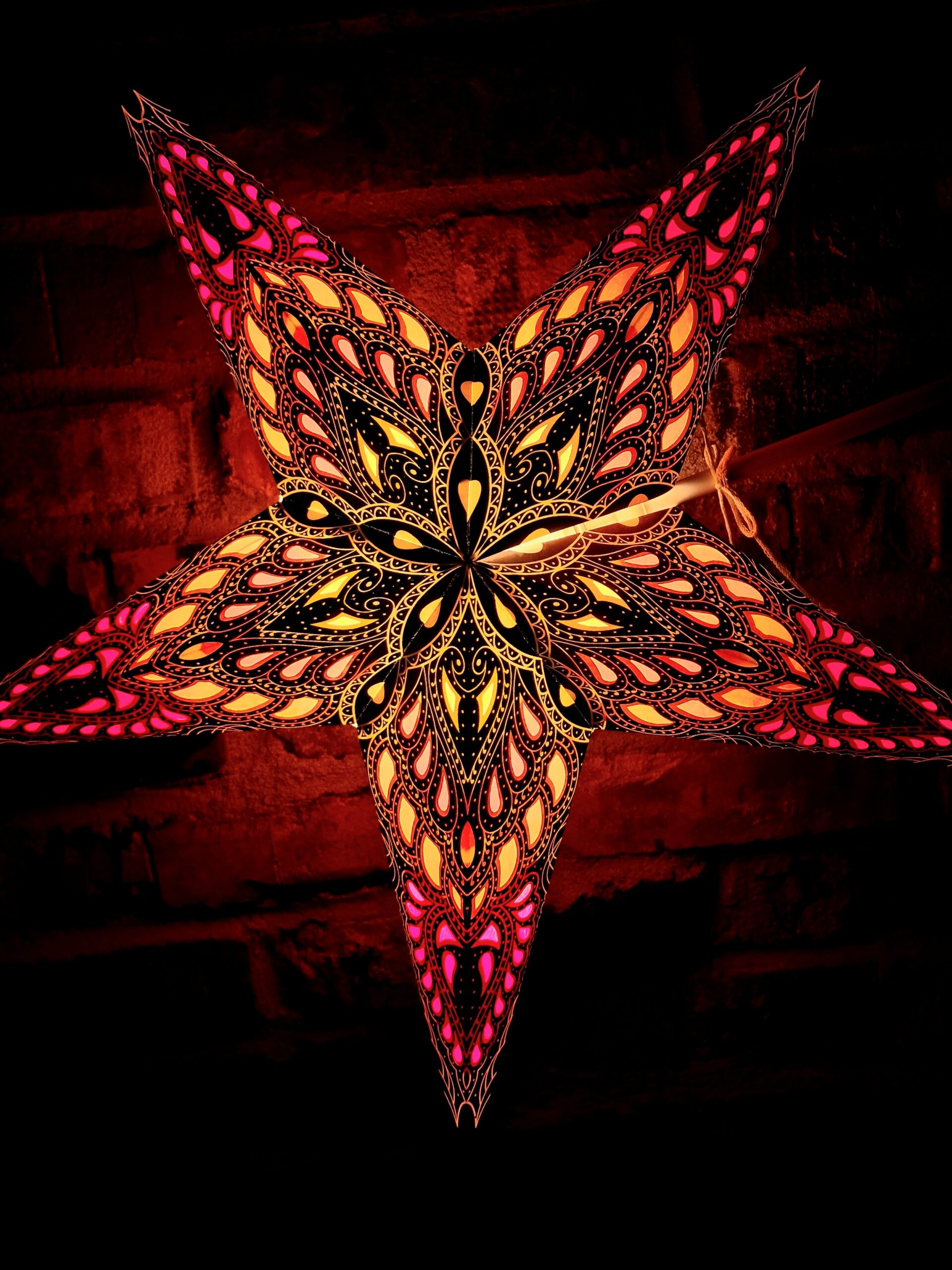 32. Färgglad Indisk Julstjärna multifärgad framifrån