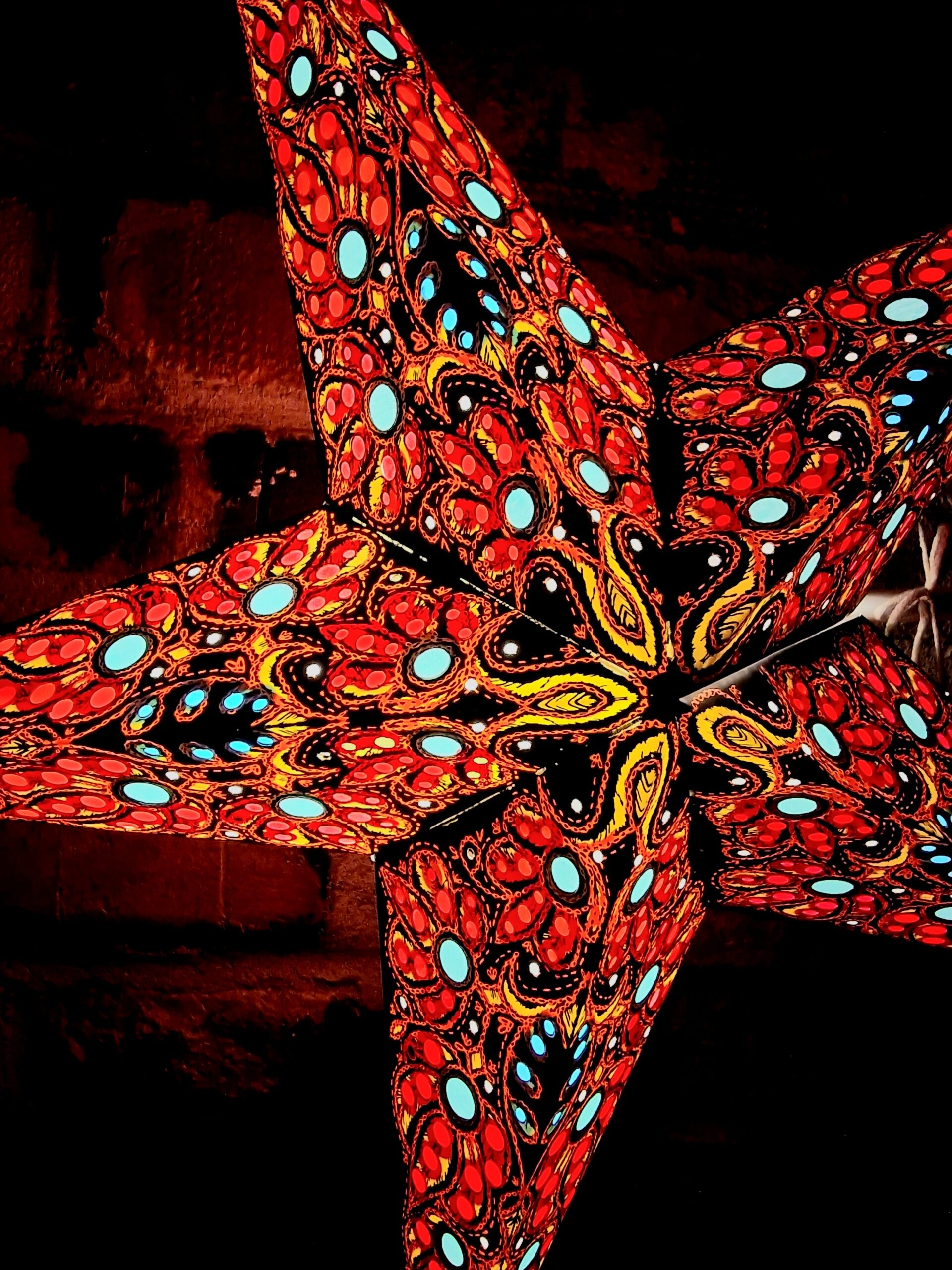 9. Adventsljusstjärna svart multifärgad sida