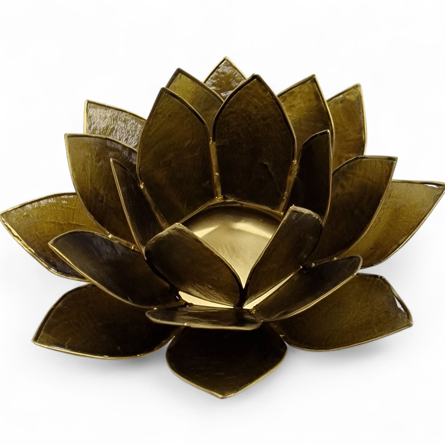 Lotuslykta Sjögräsgrön