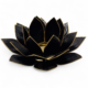 Lotuslykta Svart